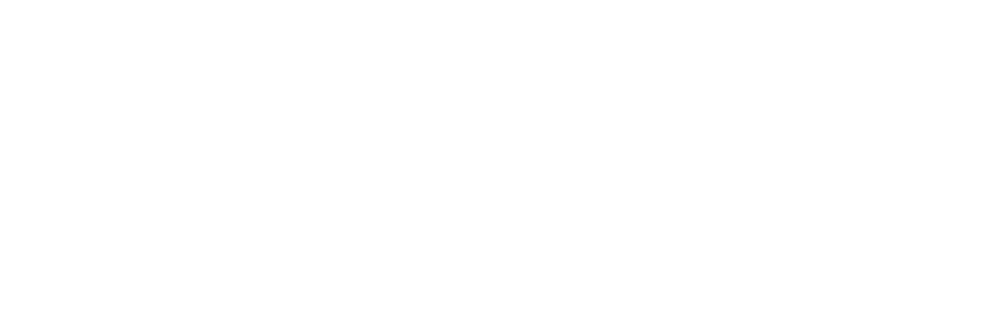 NEN Logo Zelfverklaring ISO 26000 WIT